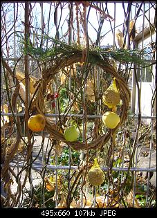 Quasselthread-p1200291.jpg