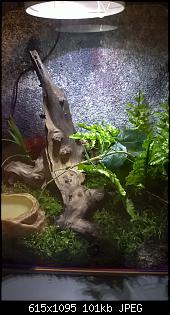 Igitt Spinne oder faszination Spinne?-wp_20141129_09_58_49_pro.jpg