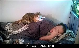 Der Katzen Thread-wp_20151113_20_08_06_pro.jpg