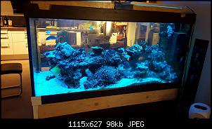 Fisch - Geblubber-20151120_223946-copy.jpg