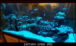 Fisch - Geblubber-20151120_223956-copy.jpg