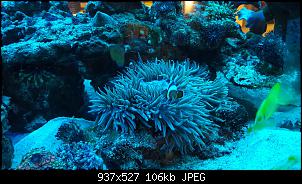 Fisch - Geblubber-20151120_224005-copy.jpg