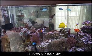 Fisch - Geblubber-20151122_103246-copy.jpg