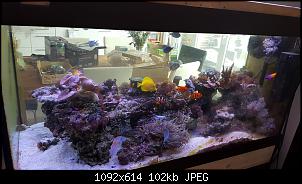 Fisch - Geblubber-20151122_103256-copy.jpg