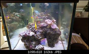 Fisch - Geblubber-20151122_103302-copy.jpg