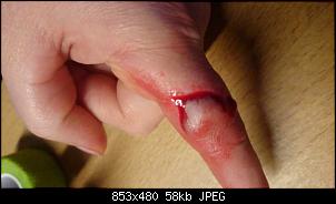 Quasselthread-k640_dsc_000001.jpg