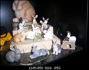 Kaninchenaccessoires? Her damit! :)-vitrine.jpg