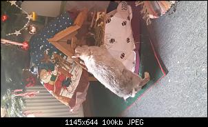 Frohe Weihnachten-tmp_6153-20151224_100800-1521874458.jpg