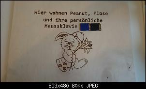 Weihnachtswichteln 2015-paket8.jpg