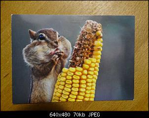 Papierpost-k640_dsc04082.jpg