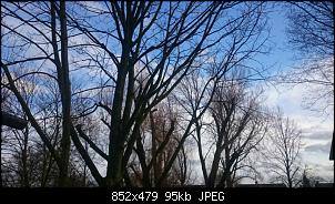 Quasselthread-nixfieswetter.jpg