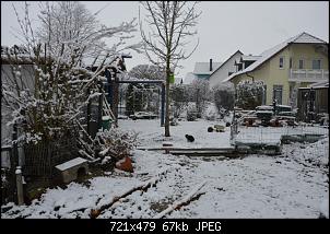Quasselthread-dsc_7010.jpg