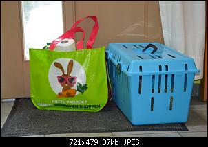 Quasselthread-dsc_7071.jpg