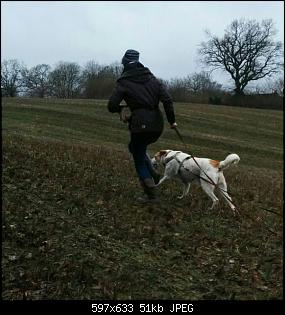 Der Hunde Thread-2016-03-25-16.54.22.jpg