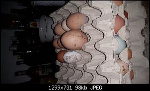 Quasselthread-20160427_163946.jpg