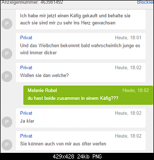 Quasselthread-hasi.png