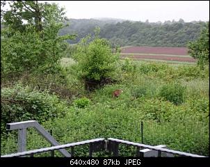 Quasselthread-k640_dsc05149.jpg
