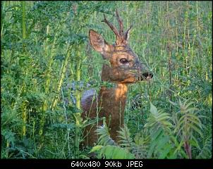 Quasselthread-k640_k1024_dsc05192.jpg