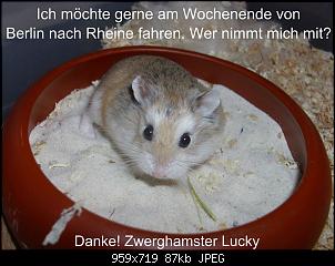 Quasselthread-lucky.jpg
