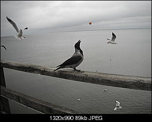 Lieblingsbilder ♡.-dscf3585.jpg