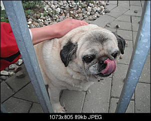 Lieblingsbilder ♡.-dscf3794.jpg