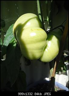 Der Garten- und Anbauthread-t13.jpg