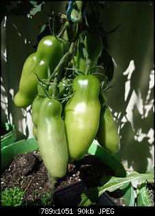 Der Garten- und Anbauthread-t8.jpg