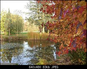Quasselthread-23.10.2012-034-small-.jpg