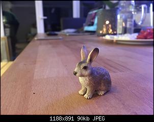Adventskalender wichteln-image.jpg