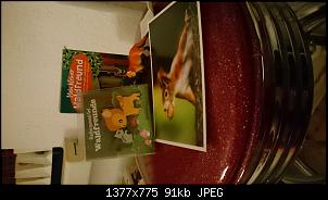 Adventskalender wichteln-dsc_1226.jpg