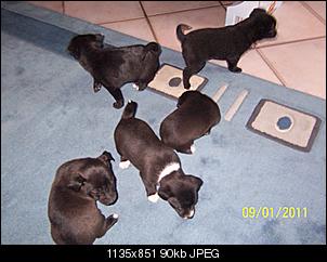 Babys-100_2567.jpg