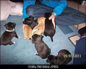Babys-100_2579.jpg