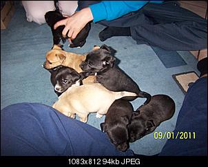 Babys-100_2580.jpg