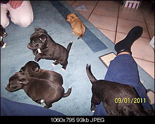 Babys-100_2581.jpg