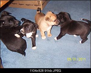Babys-100_2583.jpg