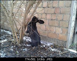 Quasselthread-2017-01-02-04.29.39.jpg