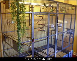 Quasselthread-sdc13424-medium-.jpg