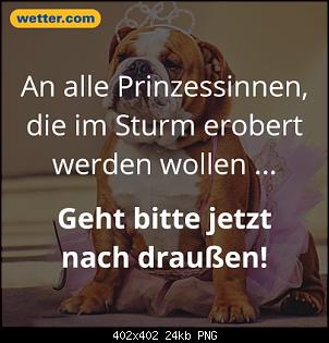Quasselthread-prinzessin.jpg