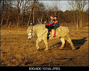 Pferde und Reiter-Thread-pic01728.jpg