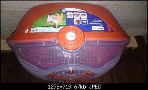 Quasselthread-transportbox.jpg