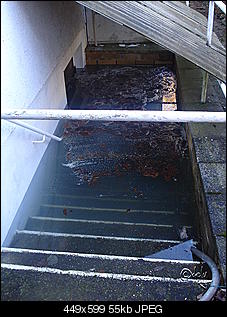 hochwasser ahoi!-hw1.jpg
