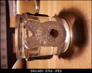 Der Handarbeits-Thread - Alles schick mit Nadel und Strick!-2017121708042600.jpg
