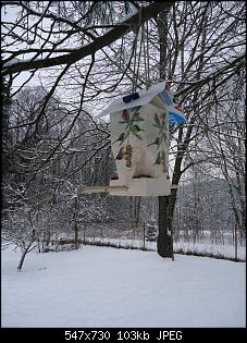 Quasselthread-vhaus1.jpg