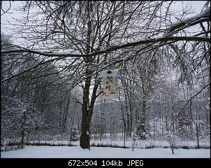 Quasselthread-vhaus2.jpg