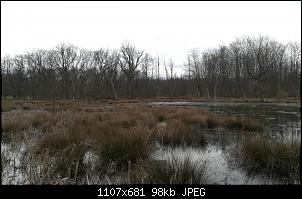 Quasselthread-weiher.jpg
