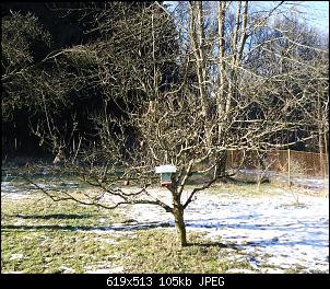 Der Garten- und Anbauthread-hasiendeapfel2.jpg