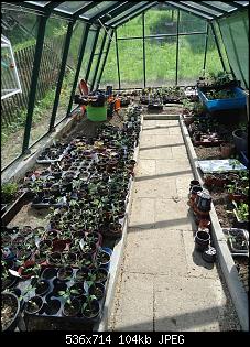 Der Garten- und Anbauthread-gw2.jpg