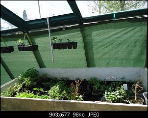 Der Garten- und Anbauthread-gw3.jpg