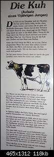 Quasselthread-gesicht-kuh.jpg