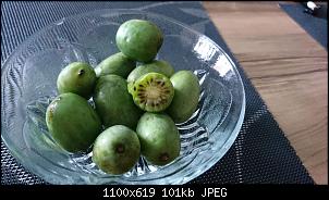 Essen (und Rezeptkommentare)-img-20180925-wa0004.jpg